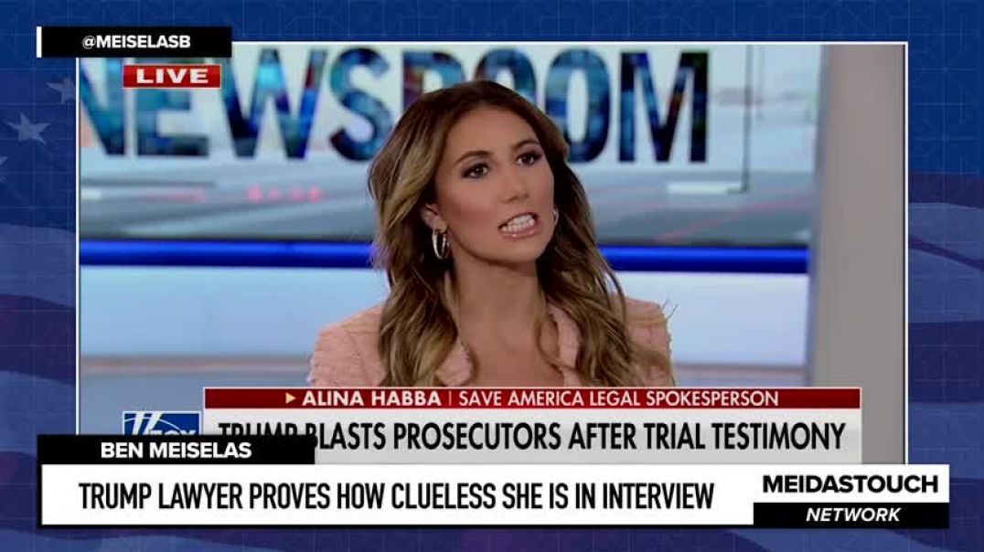 DUMB AS A ROCK Trump Lawyer PROVES How CLUELESS She Is in Interview