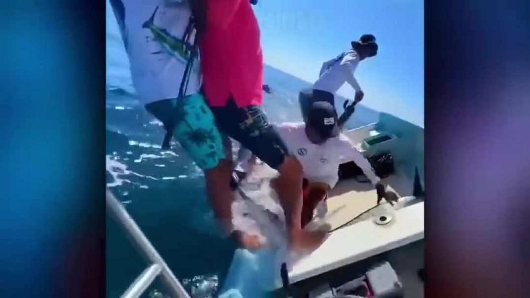 ⁣Idiots In Boats Caught On Camera !