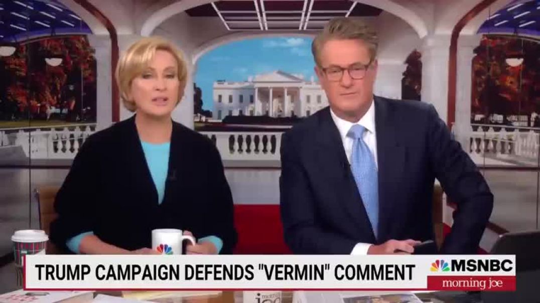 ⁣‘How ridiculous’ Joe reacts to Trump campaign’s defense of ‘vermin’ comment