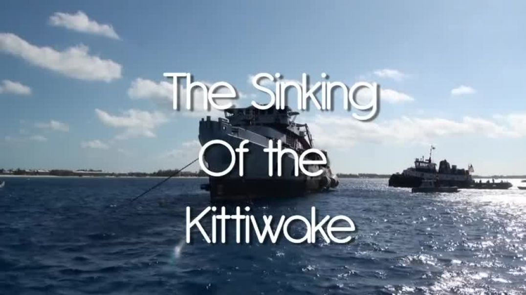 ⁣Kittiwake Sinking in HD