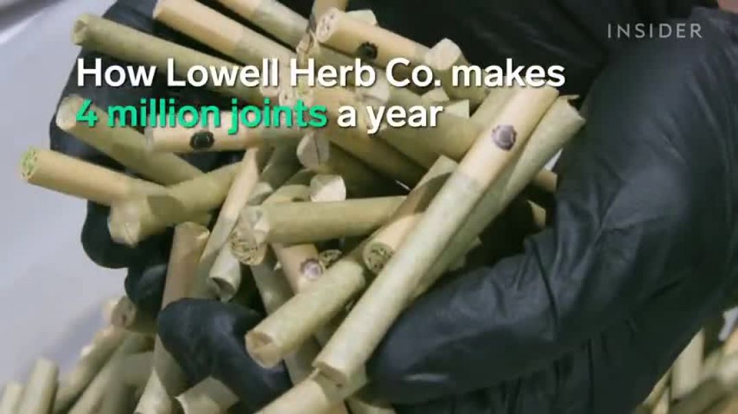 ⁣How Lowell Herb Co. Makes 4 Million Joints A Year