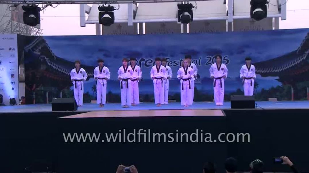⁣Taekwondo performance by K-Tigers from Korea