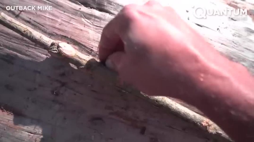 Man Turns Massive Log into Amazing CANOE   Start to Finish Build by @OutbackMike