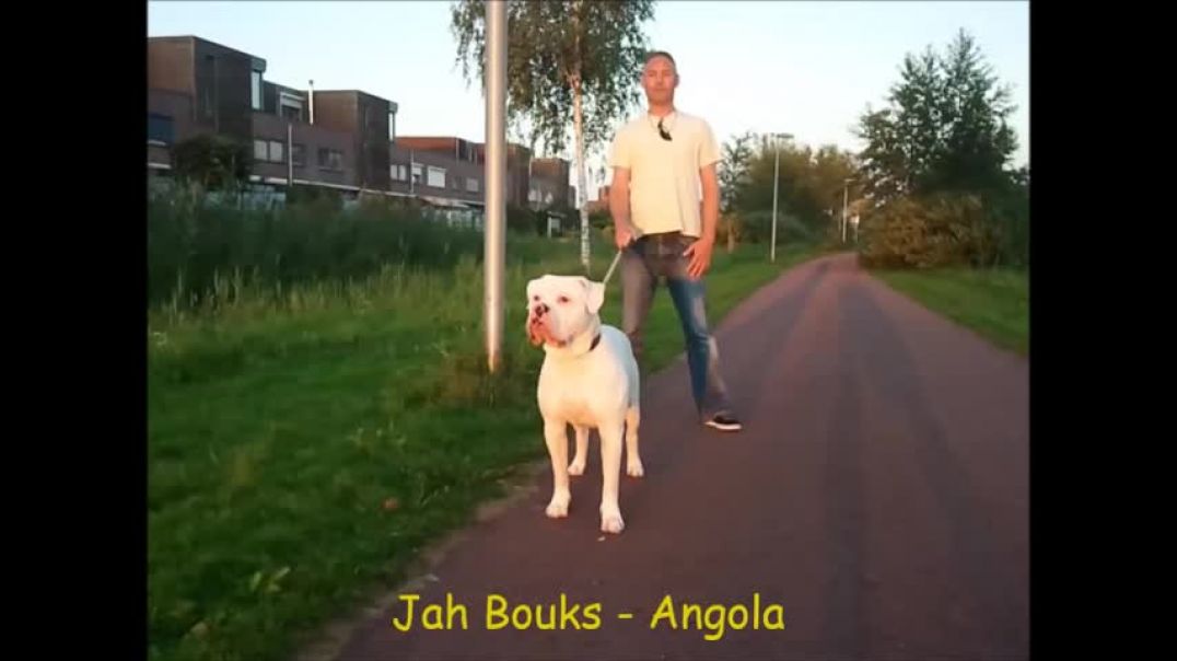 Jah Bouks - Angola (1)