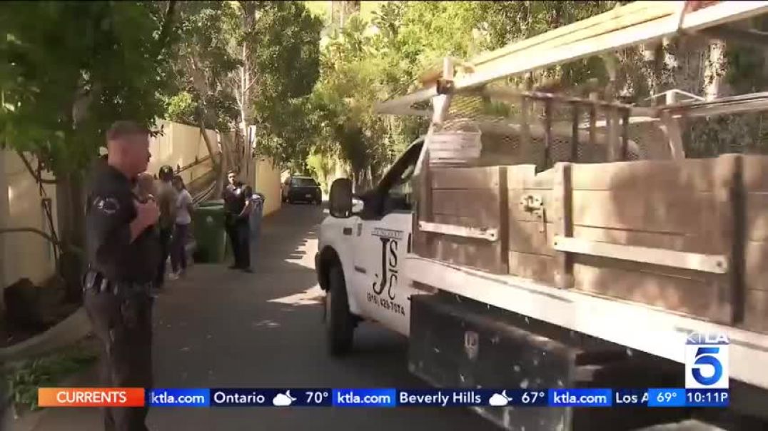 Hollywood Hills Mansion filled with squatters