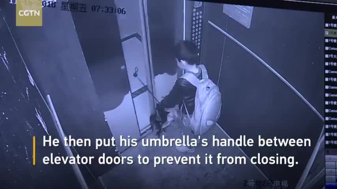 Boy uses umbrella to prevent elevator door from closing, causes free fall