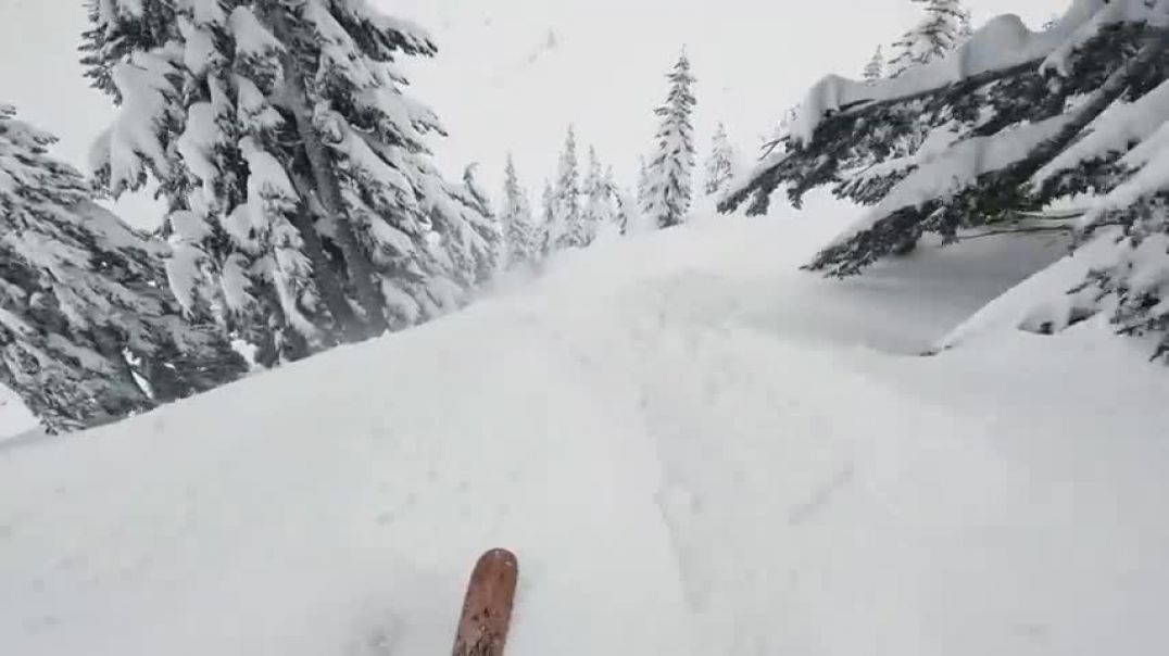 ⁣GoPro Awards: Tree Well Rescue at Mt. Baker