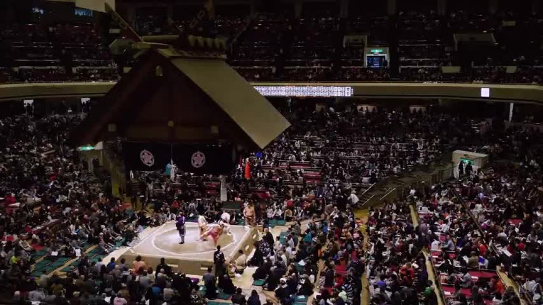 ⁣Sumo Match - Tokyo - 相撲