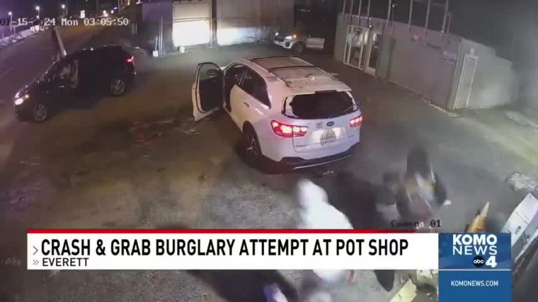 Man with bear spray prevents crash-and-grab burglary at Everett pot shop