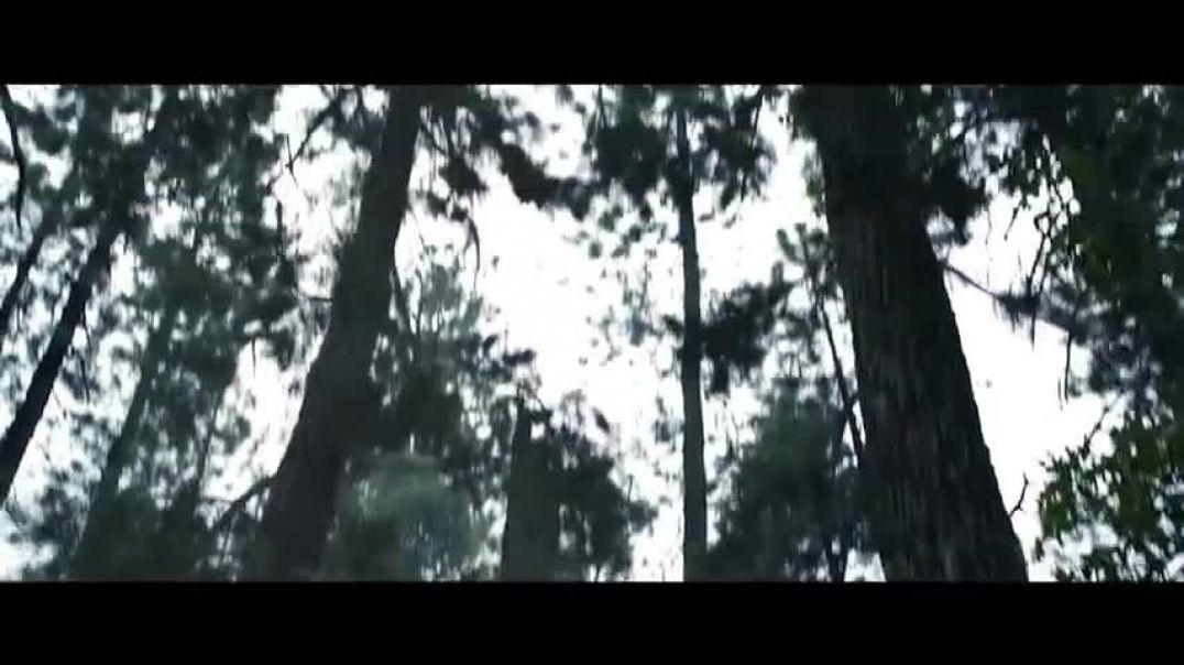 ⁣Wolverine's Berserker Rage - Forest Fight Scene | Logan (2017) Movie Clip HD 4K