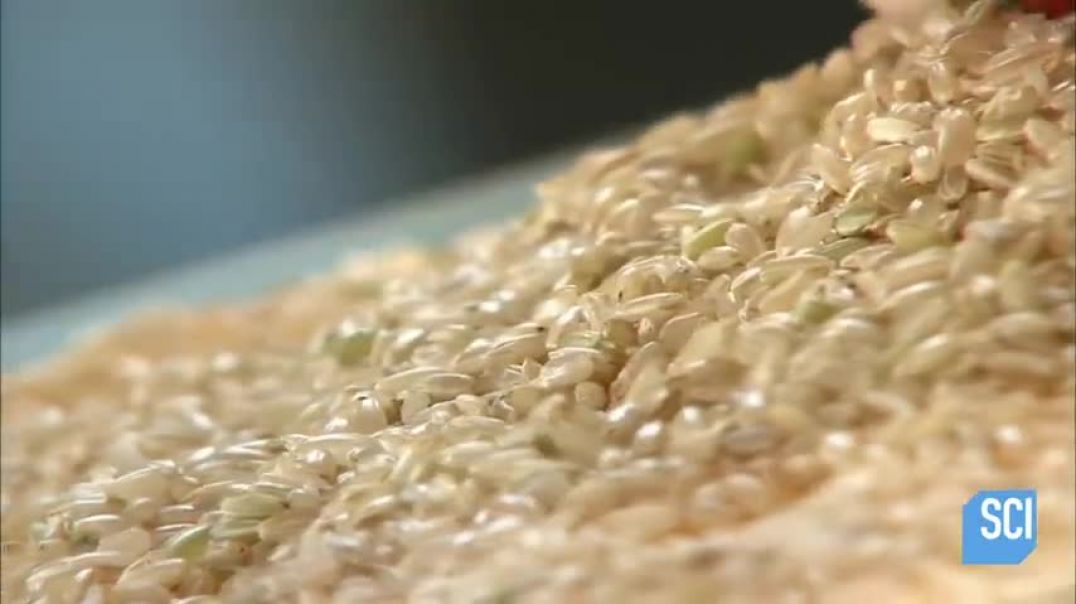 ⁣How It's Made: Rice