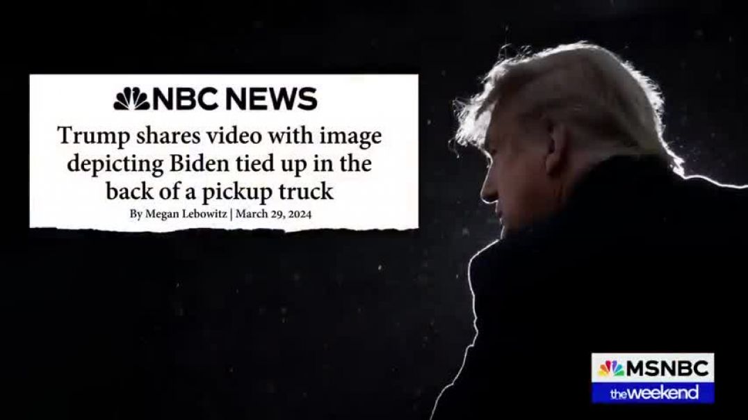 ⁣‘Visceral animal’ Michael Steele reacts to Trump sharing video of violent image of Biden model