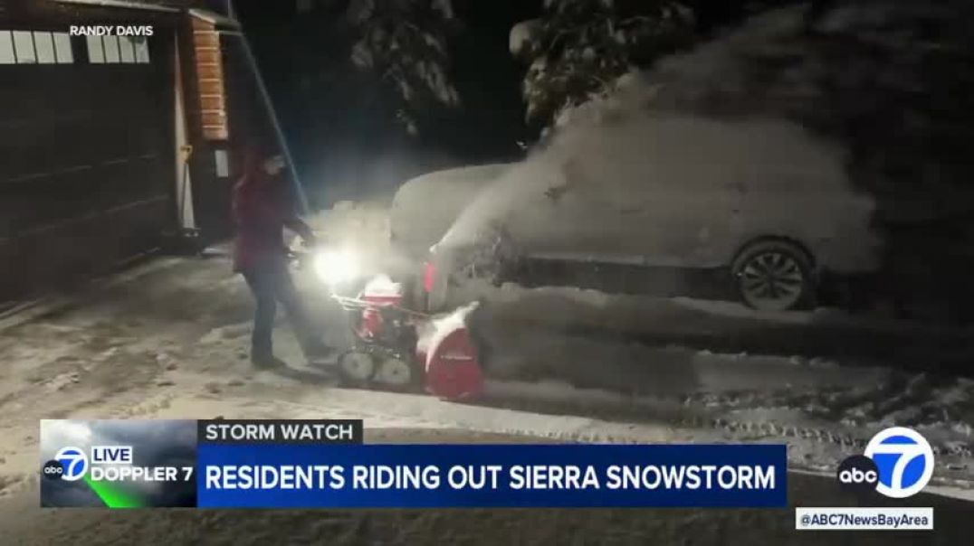 ⁣Black bears come out as Sierra snowstorm moves in