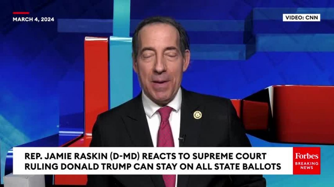 ⁣The Supreme Court Punted': Jamie Raskin Reacts To Supreme Court Ruling In Favor Of Trump