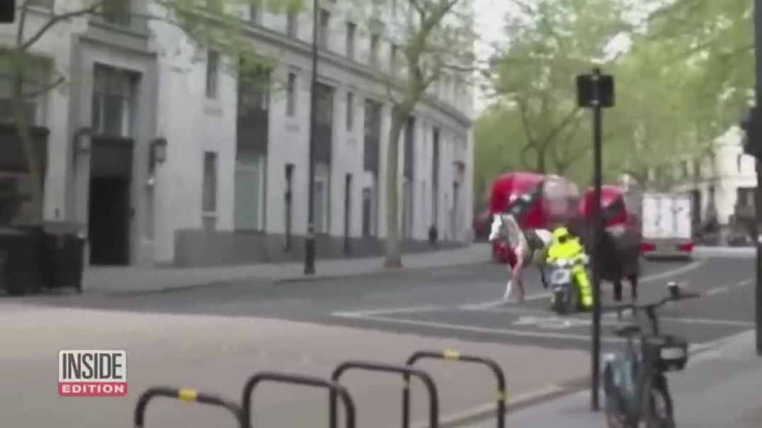 ⁣Runaway Army Horses Tear Through London
