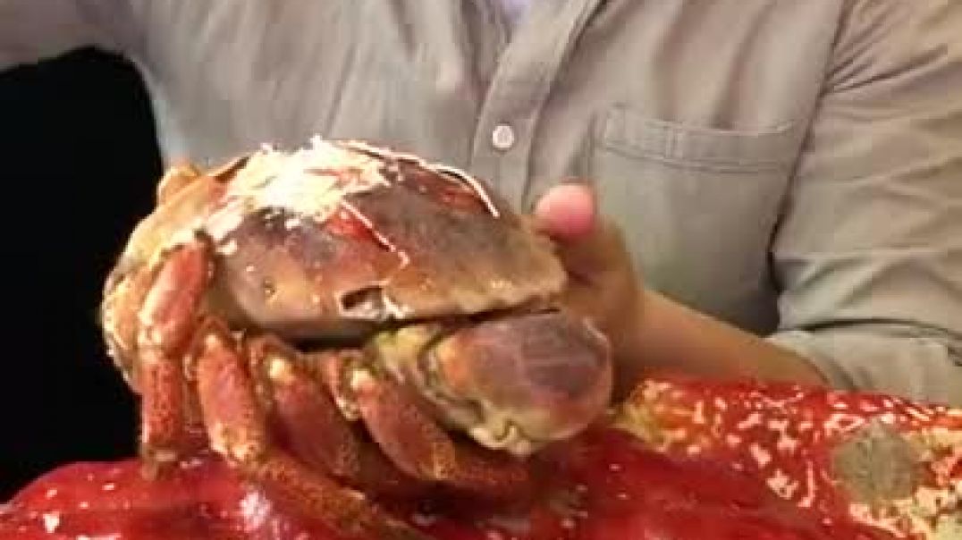 Mukbang Rich Seafood - King Crab Satisfying Eating Seafoods Show - Part 564 #Shorts