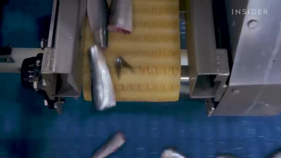 ⁣How The World’s Longest-Running Sardine Cannery Packs 60 Million Cans A Year   Big Business