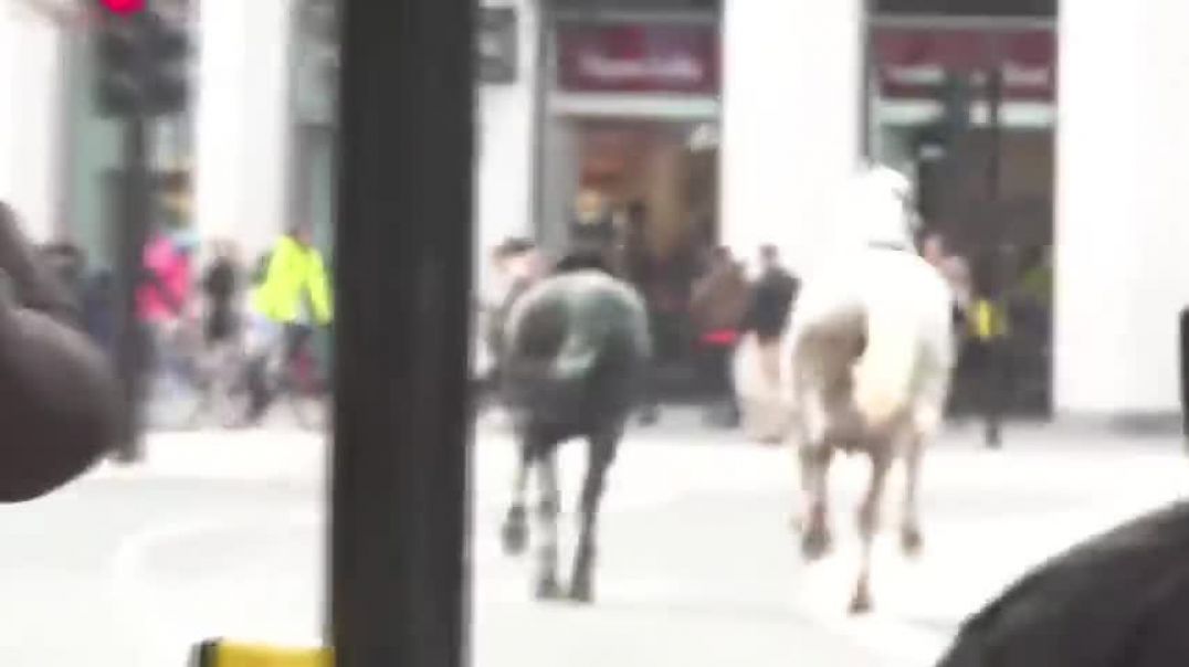 ⁣Military horses escape onto streets of London