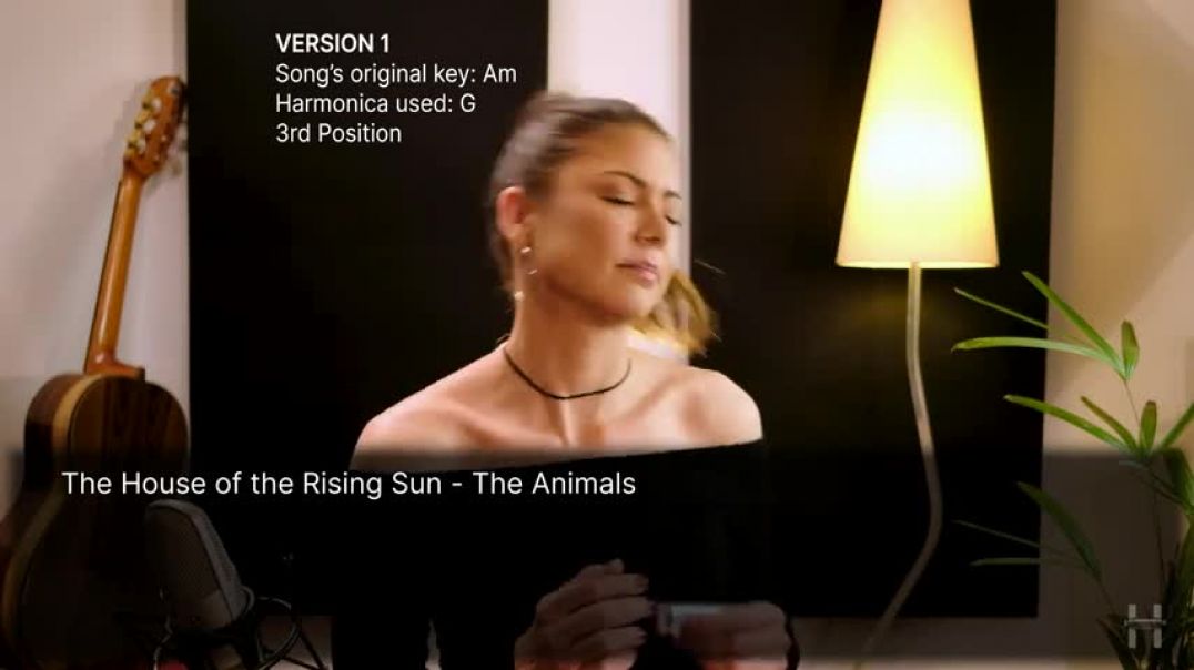 ⁣The House of the Rising Sun   The Animals   Harmonica TAB