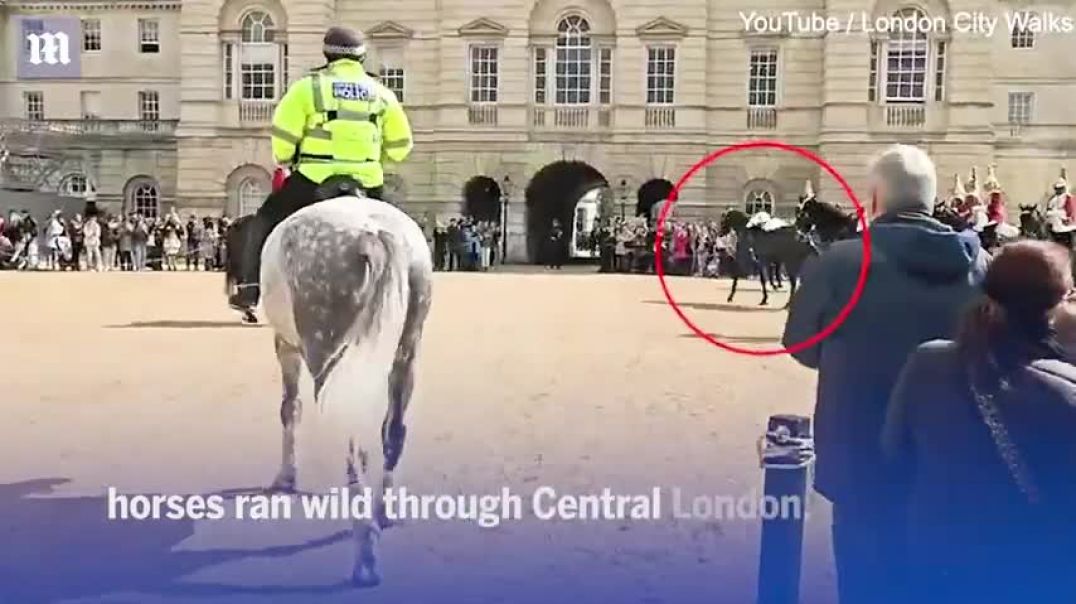 ⁣Another spooked Household Cavalry horse throws rider during military parade in London
