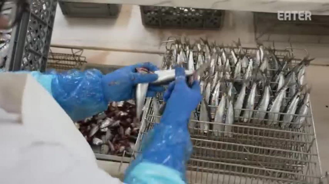 ⁣How a Tinned Fish Company Produces 30,000 Cans per Day — Vendors