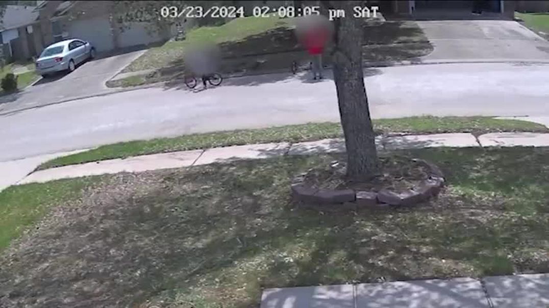 TX Woman stabbed by 2 small children caught on camera