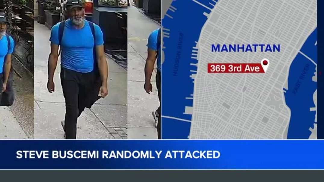 ⁣Actor Steve Buscemi was victim of random attack in Manhattan