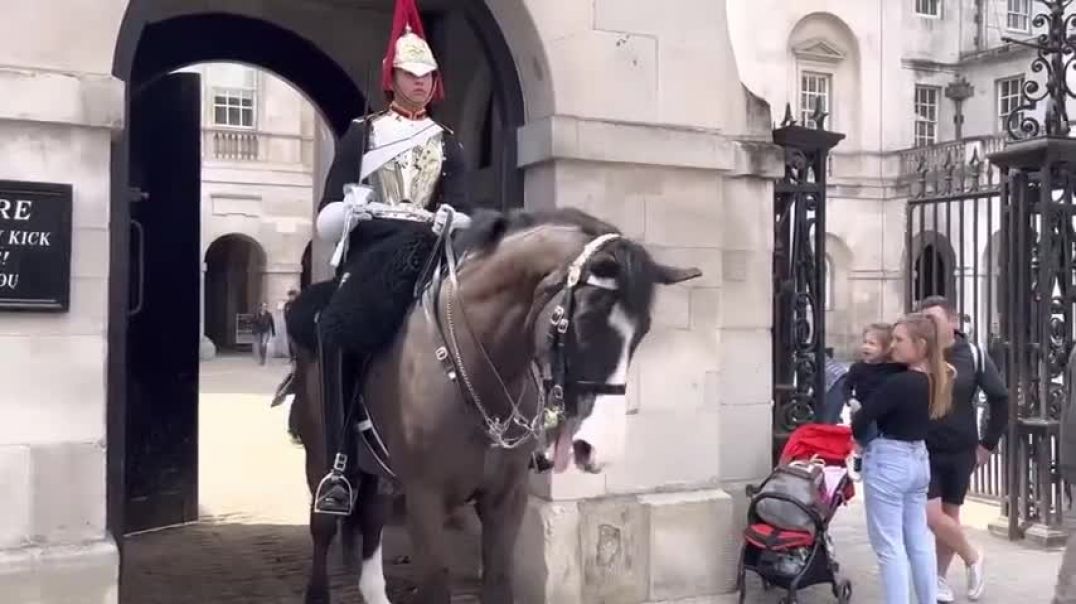⁣Shocking Showdown at the Horse Guard Tourists Flip the Bird, but the Horse Police Strike Back!