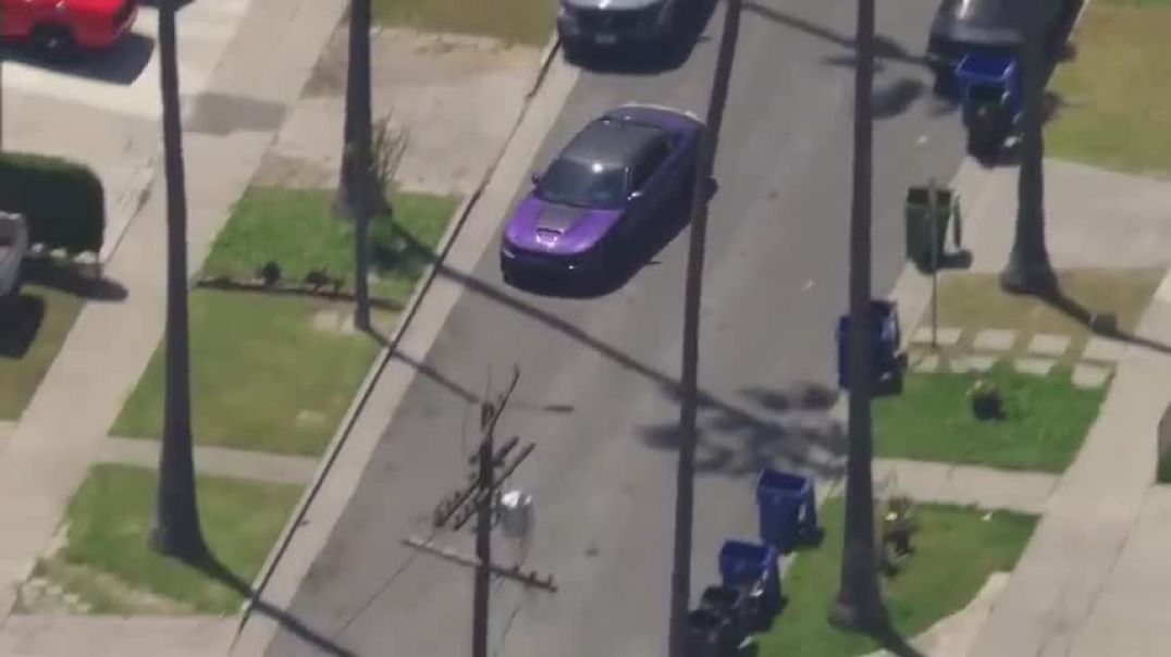 Driver in sports car arrested after wild chase
