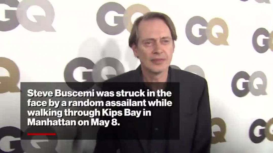 ⁣‘Boardwalk Empire’ star Steve Buscemi punched by maniac in random NYC attack