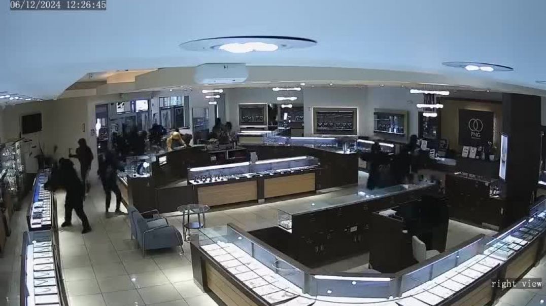 ⁣Crowd of 20 people robs Sunnyvale jewelry store on June 12, 2024