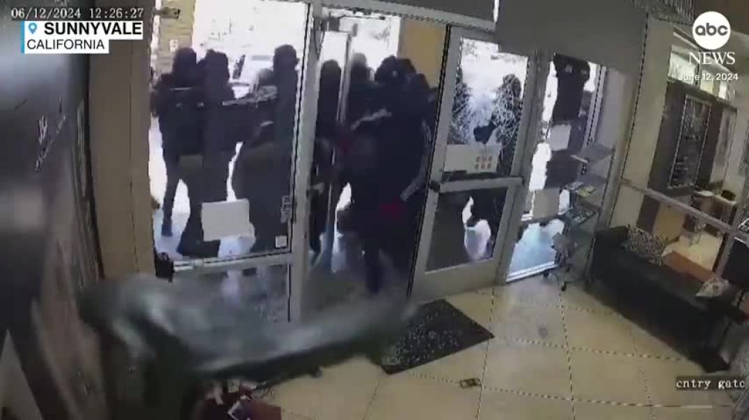 ⁣Massive group of robbers ransacks Silicon Valley jewelry store