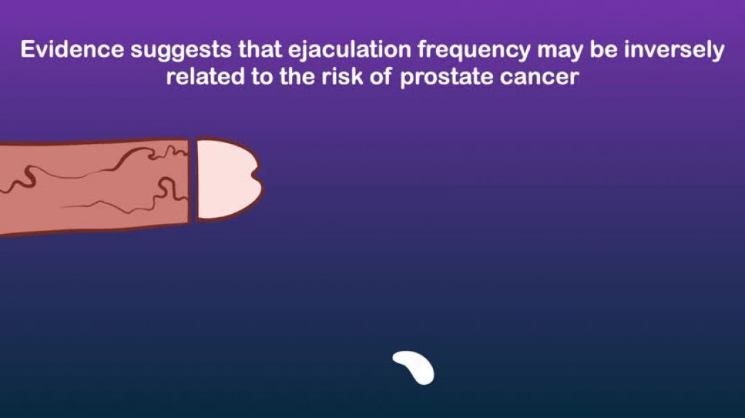 ⁣Can Frequent SEX Prevent Prostate CANCER   Ways to prevent prostate Cancer