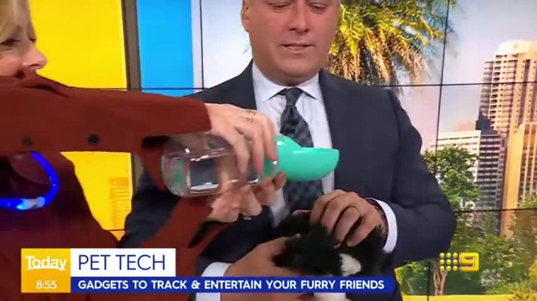 ⁣13 live TV moments that had Aussie hosts in stitches   Today Show Australia