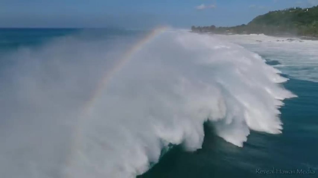 ⁣Surfing Massive Waves Waimea Bay (Jan 22, 2023)  4K