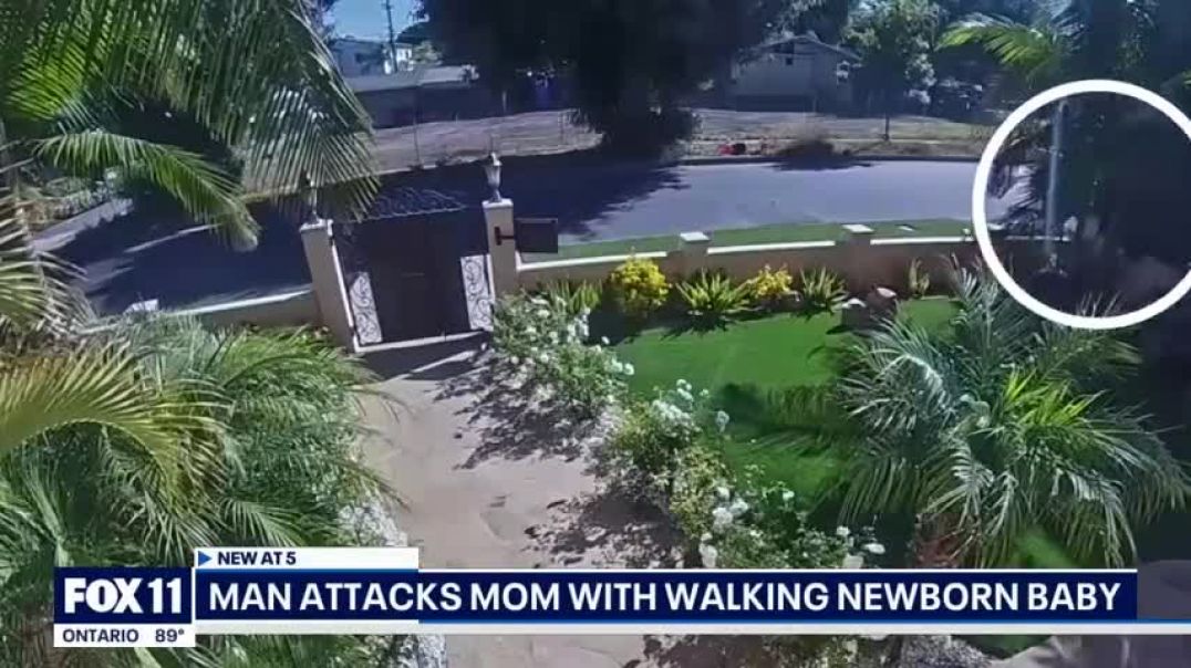 Mother attacked while walking newborn baby in Brentwood; suspect on the run