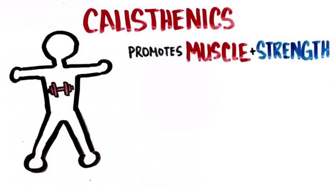 ⁣Calisthenics Explained - Are Bodyweight Exercises Good For Building Muscle