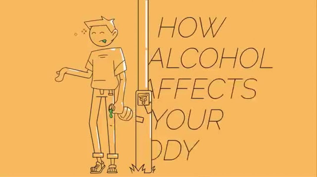 ⁣Alcohol   Health   Biology   FuseSchool