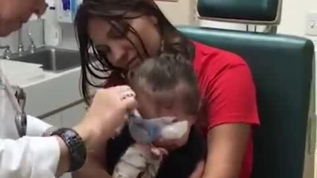 ⁣Blind Girl Sees Mom For First Time