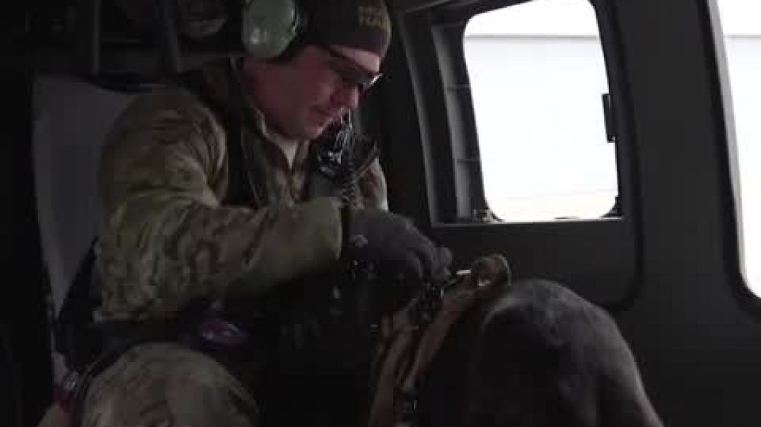 ⁣K9 dog jump with military