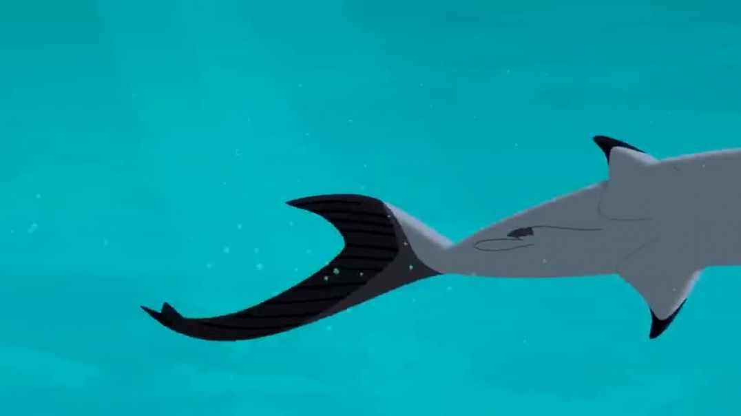 ⁣Wild Kratts   Sharks   Apex Predators of the Oceans