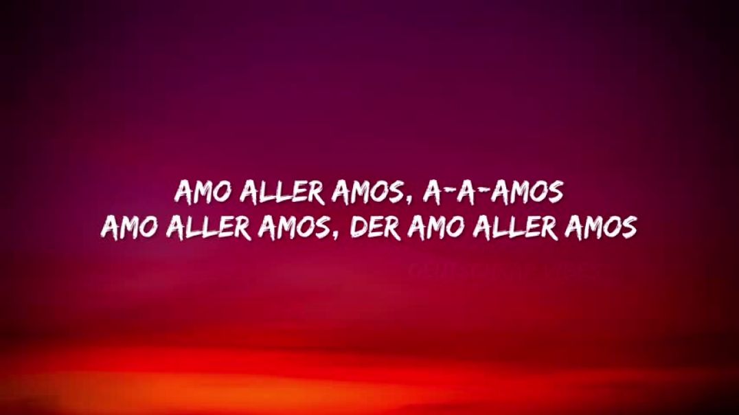 ⁣Amo - Amo aller Amos (Lyrics)