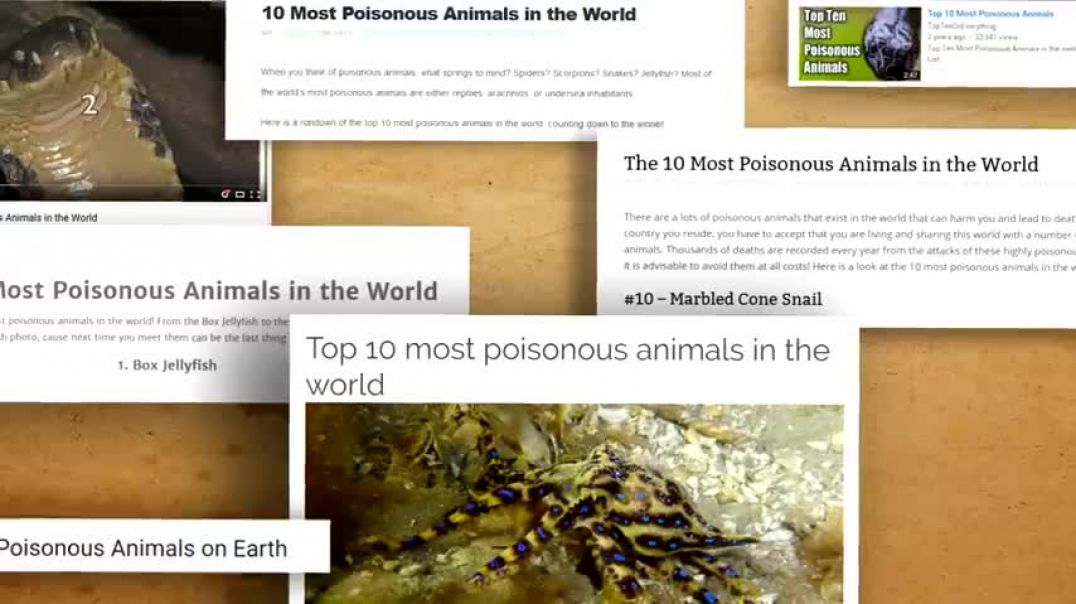 15 Most Venomous Animals on Earth