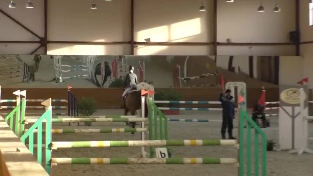 ⁣Horse Knocks off Rider and Finishes Competition Alone