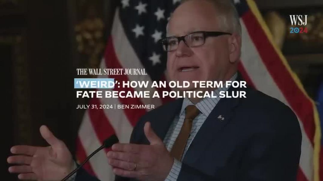 ⁣Who Is Tim Walz Why Harris Picked Minnesota Governor as VP Running Mate   WSJ