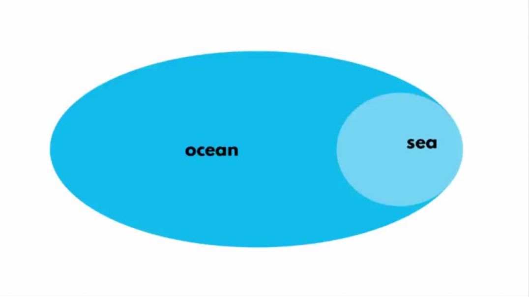 ⁣What's the difference between a Sea & an Ocean