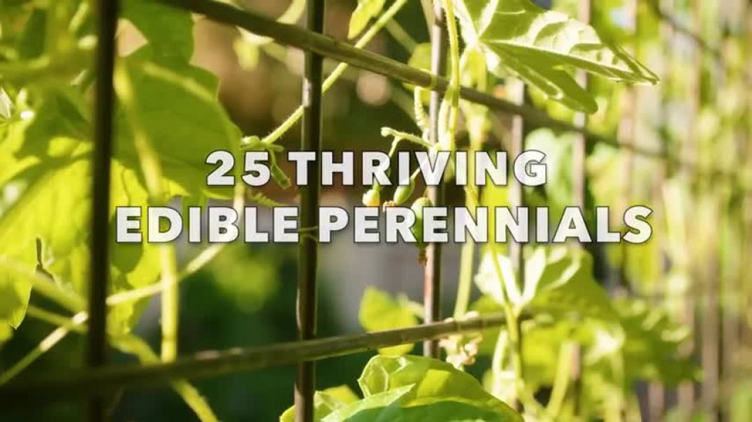 ⁣CROPS FOR LIFE 25 Perennials to Plant ONCE that GROW FOREVER!