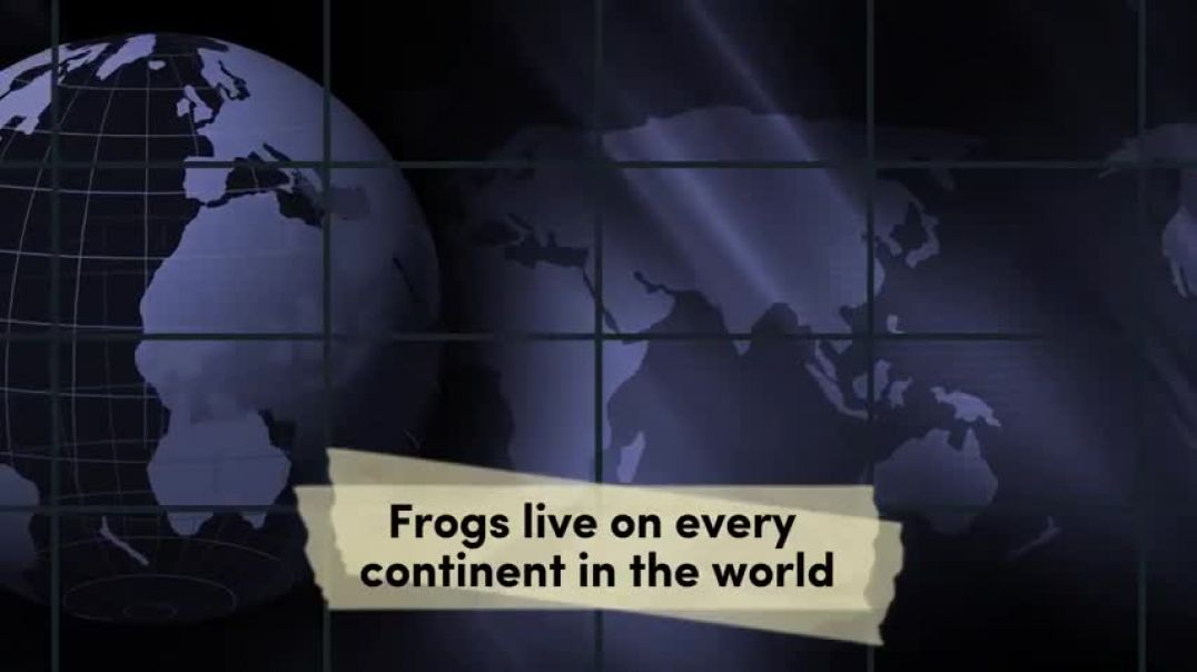 ⁣Fun Facts About Frogs