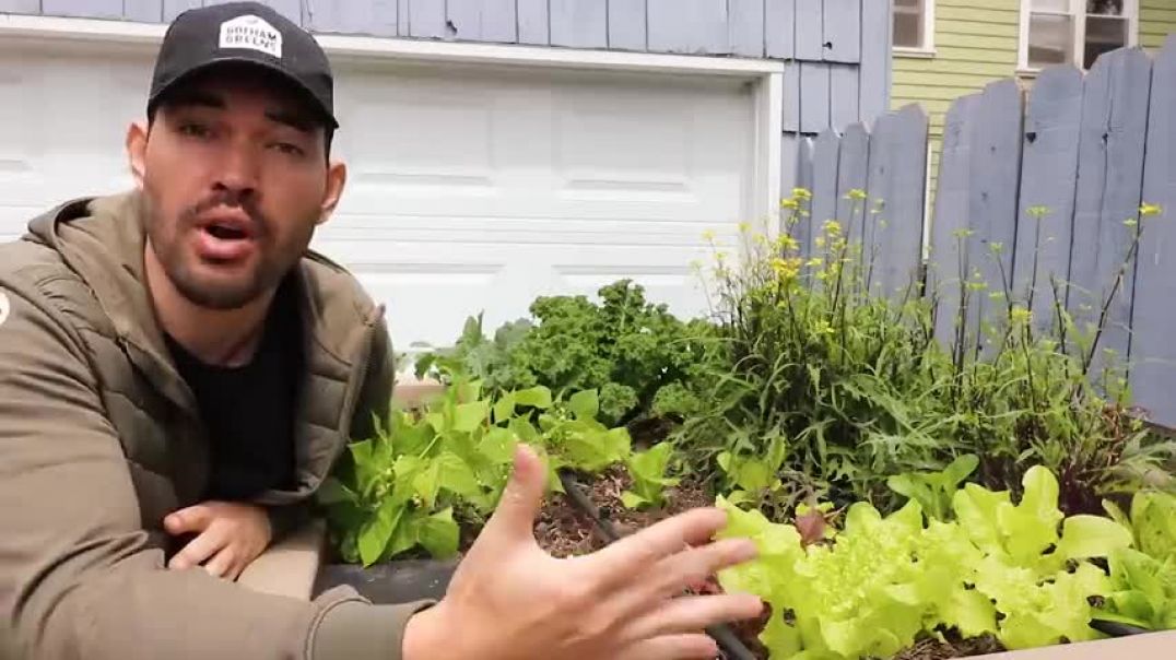 ⁣5 Fast Growing Veggies You Can Harvest in Under 1 Month